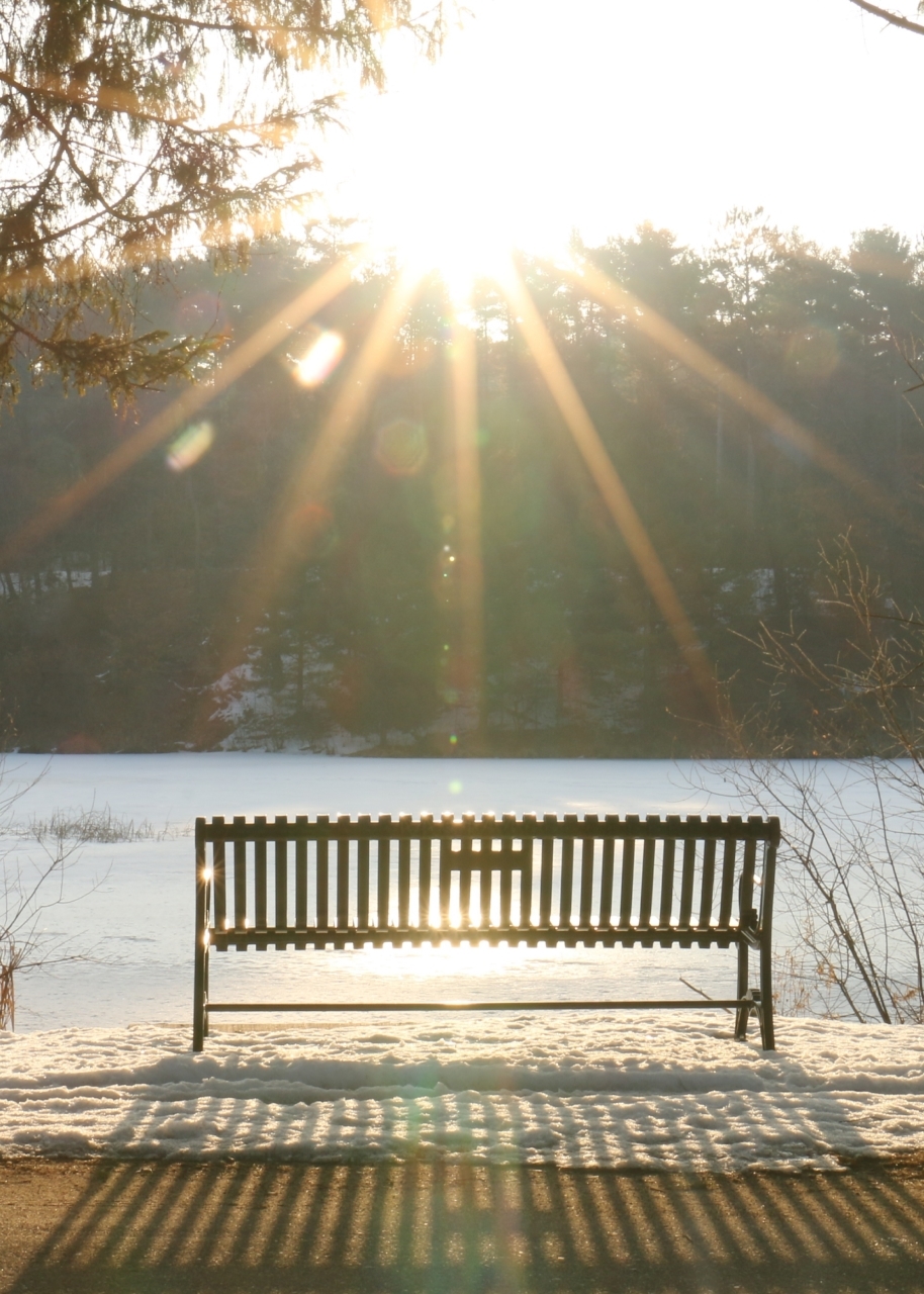 bench in front of a field with snow on the ground, sun in shining brightly